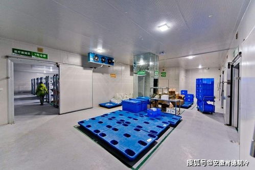 防爆冷库安装,防爆冷库工程建造要点